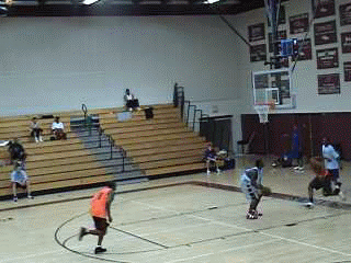 davis.gif